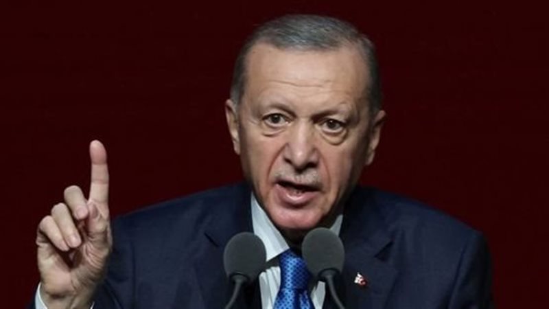 أردوغان، فيتو