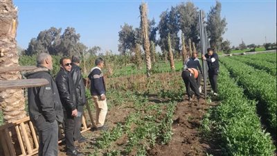 إزالة سقف خرساني وتعد على أرض زراعية في أجا بالدقهلية (صور) 