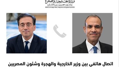 وزير الخارجية يبرز الجهود المصرية للتوصل إلى اتفاق لوقف إطلاق النار في غزة