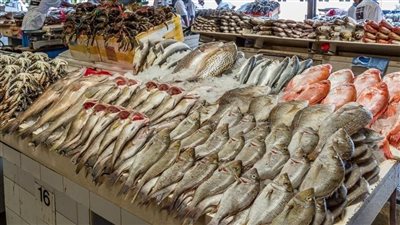 أسعار السمك اليوم ، البلطي يبدأ من 30 جنيها والقرش يسجل 150