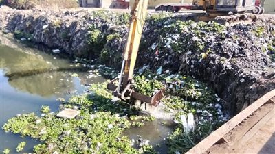 تطهير المصرف الطويل البحري من الحشائش وورد النيل للتصدي لانتشار البعوض بالدقهلية (صور)