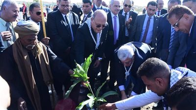وزير التعليم العالي ورئيس جامعة سوهاج يشاركان في زراعة 60 شجرة مثمرة