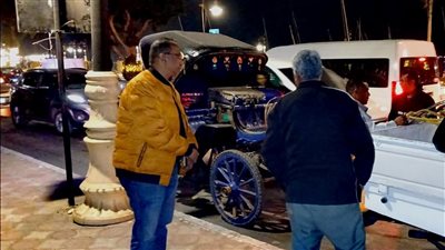 ضبط 5 عربات حنطور مخالفة في الأقصر 