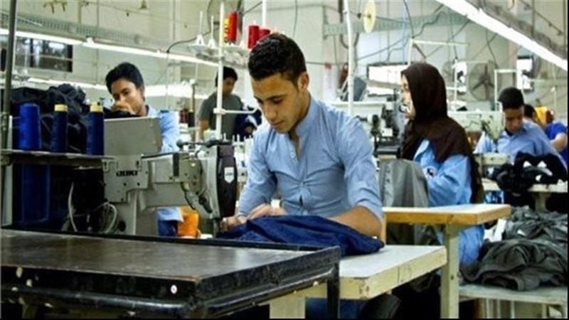 المشروعات الصغيرة،فيتو