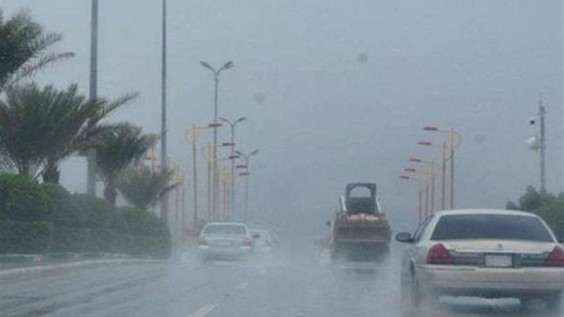 حالة الطقس غدا، فيتو