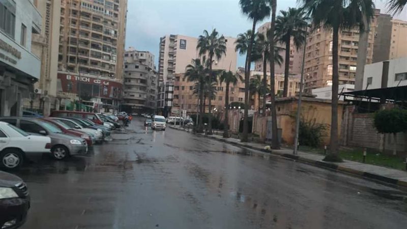 حالة الطقس غدا، فيتو