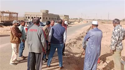 بطول 10 كيلومترات، ربط قرية تنيدة بمحور منفلوط في الوادي الجديد