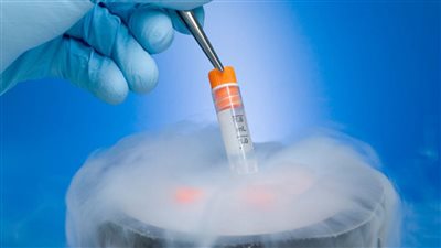 طبيب نساء يكشف طرق الحفاظ على الخصوبة للسيدات 