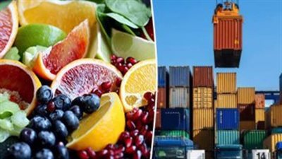  أهم 5 دول مستوردة للصناعات الغذائية عام 2024 (انفوجراف) 