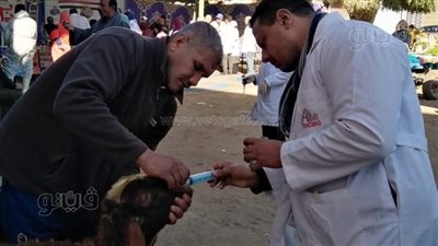 إطلاق قافلة بيطرية مجانية بقرية سامول في الغربية (صور)