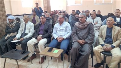 محلية أرمنت في الأقصر تبحث تطوير القرى