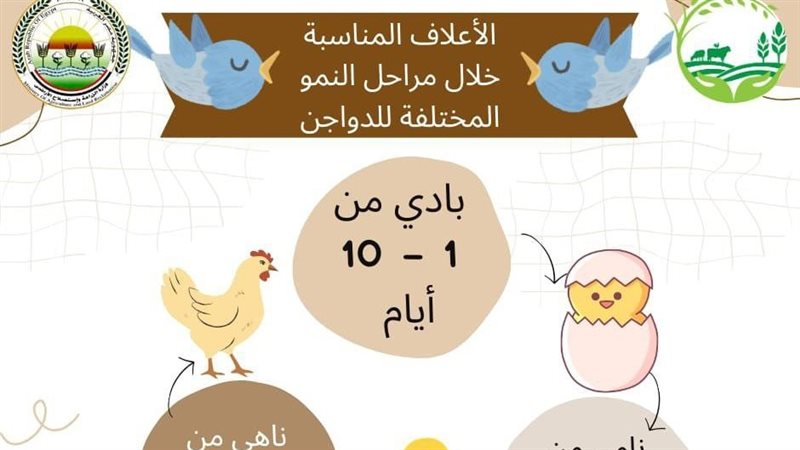 الدواجن، فيتو