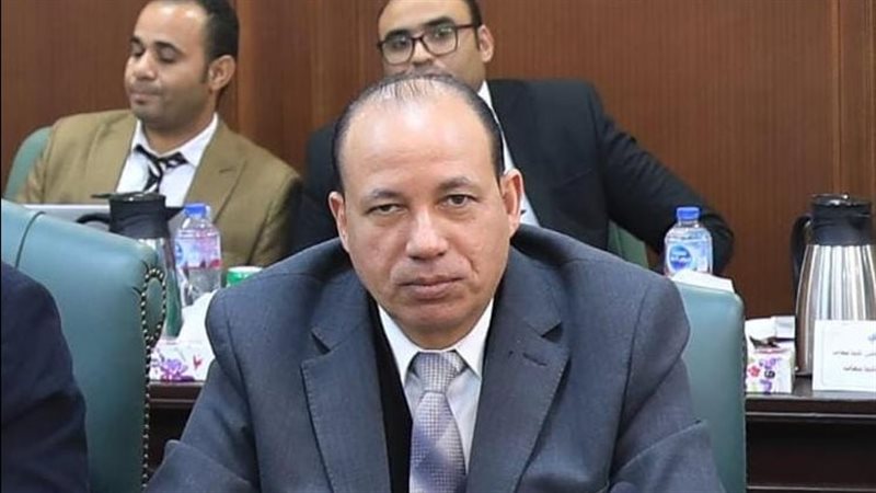 رئيس جامعة المنصورة،
