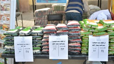 الفرخة بـ 135 جنيها، أسعار الزيت والسمن والأرز والسلع الغذائية بسوق اليوم الواحد (فيديو وصور)