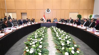 تشكيل لجنة من الصناعة والبترول لصياغة استراتيجية توطين صناعة الفوسفات في مصر