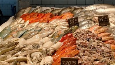 أسعار السمك في رأس السنة، البوري يصل لـ120 جنيها (صور)