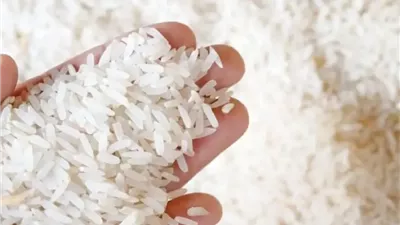 كم سجل سعر كيلو الأرز بالأسواق اليوم الثلاثاء 31-12-2024؟