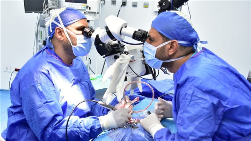 عمليات زراعة القوقعة