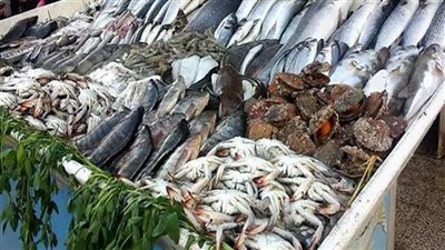 أسعار السمك اليوم، الكابوريا ترتفع 15 جنيهًا في سوق العبور