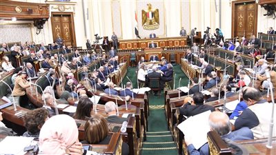 رفع جلسة النواب، والعودة للانعقاد 12 يناير