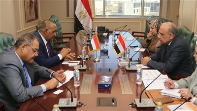وزير الكهرباء يبحث مستجدات مشروع خط الربط الكهربائي المصري السوداني