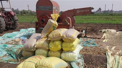 محافظ المنيا يتلقى تقريرا مفصلا عن إنجازات مديرية الزراعة في 2024