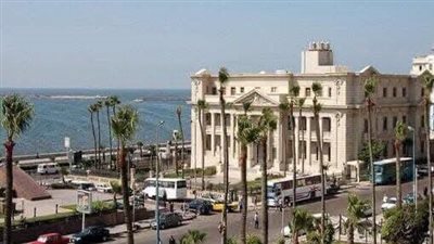 التنظيم والإدارة يجدد اعتماد المركز الأفريقي لصحة المرأة بالإسكندرية 