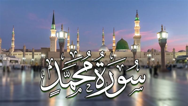  سورة محمد 