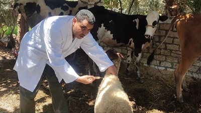 تنفيذ 4 مشروعات خدمية بتكلفة 19.7 مليون جنيه، حصاد بيطري الفيوم في 2024