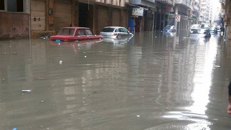 شتاء الإسكندرية،فيتو