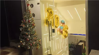 المنصورة تتألق بألوان الاحتفال برأس السنة، زينة وأضواء في الشوارع والمحال (صور )