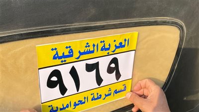 مع بداية عام 2025، ترقيم التكاتك في الحوامدية وتحديد الأجرة (صور)