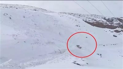 انهيار جليدي يدمر جرافة أثناء تنظيف طريق في تركيا 