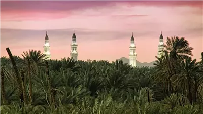 معجزات الرسول، نخل سلمان الفارسي أثمر في عام واحد