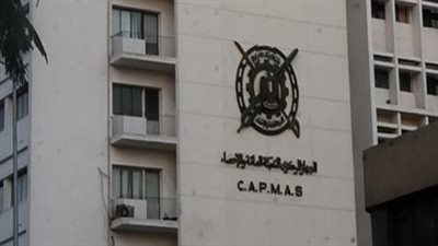 الإحصاء: 10.45% زيادة في عدد مشتركي الإنترنت فائق السرعة المتنقل عام 2024