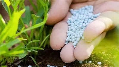 باستثناء نترات النشادر، ارتفاع جماعي في أسعار الأسمدة بالأسواق