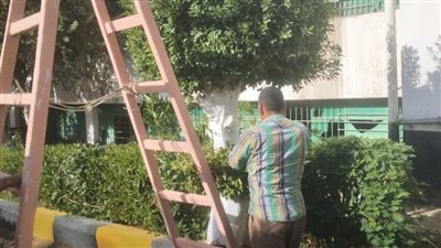 حملات نظافة بمحيط كنائس المنيا استعدادًا لعيد الميلاد 