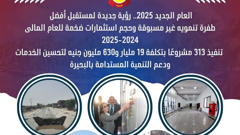 مشروعات الاستثمارية