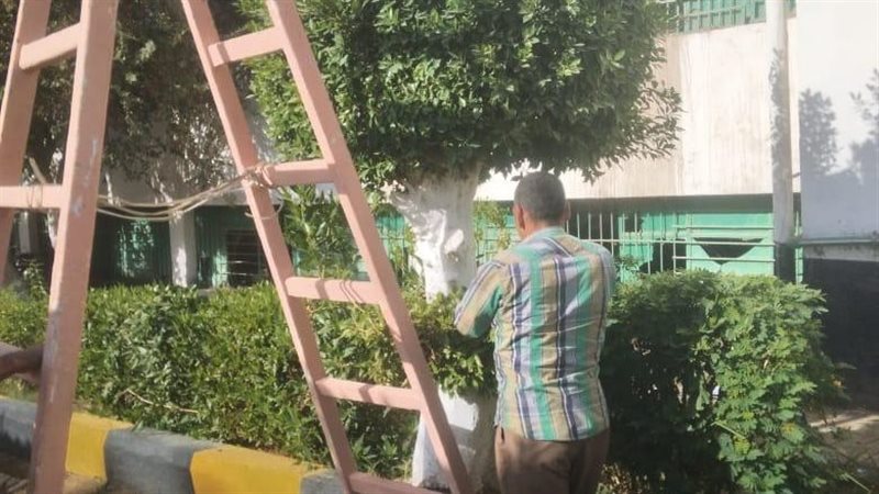 حملات مكثفة للنظافة