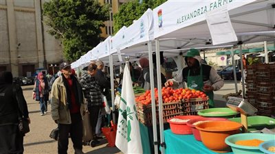 أمين صندوق الغرفة التجارية بالإسكندرية يتفقد سوق المزارعين لليوم الواحد 