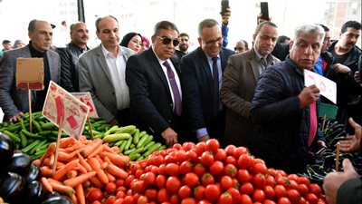 محافظ الدقهلية: تعميم فكرة سوق اليوم الواحد بجميع المراكز والمدن (صور)