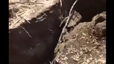 كارثة جديدة في إثيوبيا، ظهور تشققات أرضية وفوالق ضخمة تبتلع الأشجار وتثير القلق (فيديو)