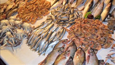 أسعار السمك اليوم بسوق العبور، ارتفاع البلطي والجمبري وانخفاض كبير في قشر بياض