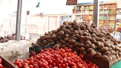 سعر الخضار اليوم بسوق العبور، البطاطس بـ 4.5 جنيه وانخفاض جديد لـ الطماطم والبصل