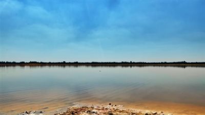 حالة الطقس اليوم السبت 4 -1- 2025 بوادي النطرون