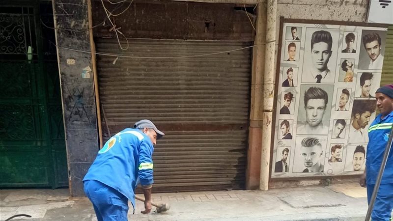 أحياء الإسكندرية