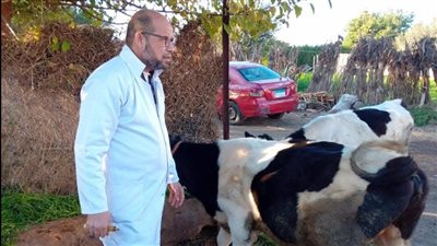 تحصين وفحص 465 ألف رأس ماشية وطيور في الدقهلية 