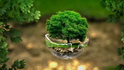 استطلاع: 34.6% من الشركات الألمانية تعتزم الاستثمار في حماية المناخ 