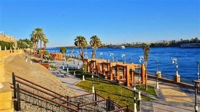 حصاد محلية أرمنت في الأقصر خلال عام 2024 