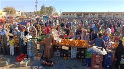 محافظ الوادي الجديد: خطة للتوسع في مبادرة 